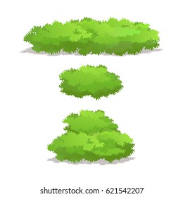 Set of  Bush for Forest, Park and Garden Plants.Vector Illustration.