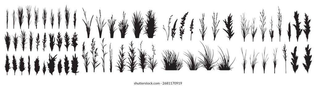 Conjunto de arbusto hierba arbusto silueta Vector Vector de fondo transparente