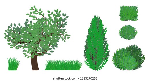 Set: Bush, tree and grass in various shapes. Decorative plant shrub for designing a Park, garden or green fence. Vector illustration isolated on white background.