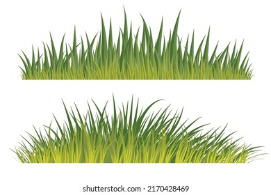 Set of bush vector illustration on a white background. Green bush on white background. Green grass vector set. Bush flat illustration.