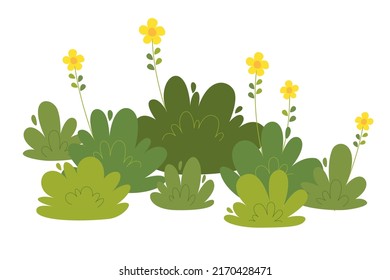 Set of bush vector illustration on a white background. Green bush on white background. Green grass vector set. Bush flat illustration.