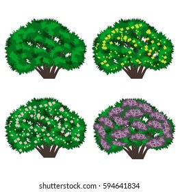 Set of bushes with flowers. Green bushes in blossom isolated on white background with yellow and white flowers, lilac bush. Use as landscape element for scene creating. Vector illustration