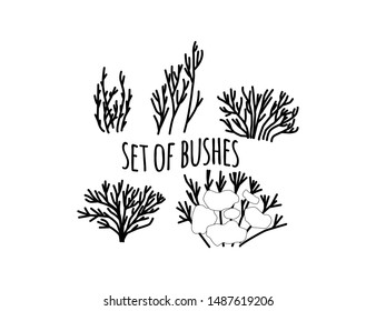 set of bushes isolated on white background. bushes without leaves.  Autumn winter. Fallen down leaves. Without leaf