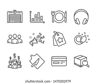 Set of Business icons, such as Salary employees, Group, Parking garage, Restaurant food, Search package, Ole chant, Cutting board, Paint brush, Diagram graph, Loyalty tags, Headphones. Vector