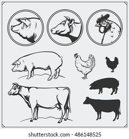 Set of butchery labels and emblems: chicken, pork and beef. Vintage style. Illustration of cow, hen and pig.