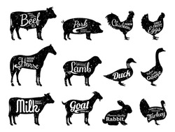 Set Of Butchery Logo. Farm Animals Silhouettes Collection For Groceries, Meat Stores, Packaging And Advertising.
Beef, Pork, Chicken, Milk Labels.