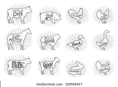 Set of butchery logo templates for groceries, meat stores, packaging and advertising