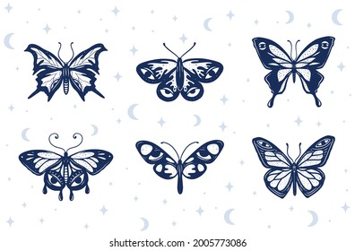 
Set of buterfly hand drawn illustration