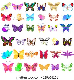 Set of butterflies