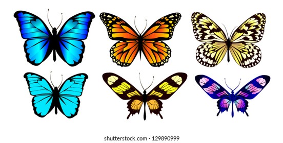 set of butterflies