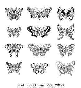 Set of Butterflies