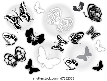 A set of butterflies.