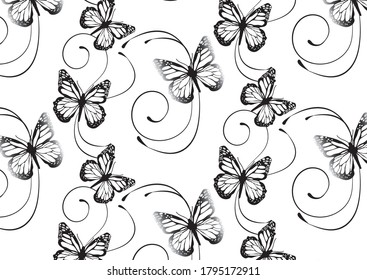 Set butterflies background. Entomological collection of highly detailed design butterfly. Retro vintage style pattern of Vector.