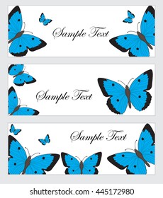 Set butterflies banner. Banner template with butterflies. Colored butterfly banner. Vector illustration