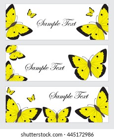 Set butterflies banner. Banner template with butterflies. Colored butterfly banner. Vector illustration