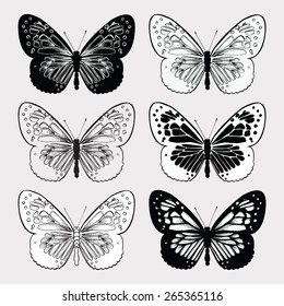 Set of butterflies black and white, hand-drawing. Vector illustration.