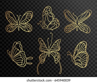 Set of butterflies. Butterfly icons isolated on transparent background. Gold Lace butterfly on black background.