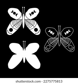 set butterflies  Butterfly silhouette  Butterfly vector graphics  Butterfly carving  set shadows   lines  vector illustration 