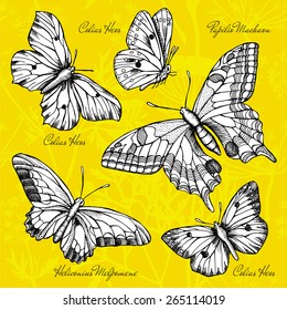 Set Butterflies, Colias Heos, Papilio Machaon, Heliconius Melpomene, Black & White & Yellow