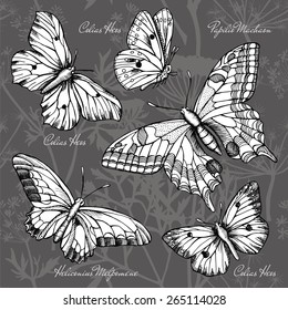 Set Butterflies, Colias Heos, Papilio Machaon, Heliconius Melpomene, Black & White