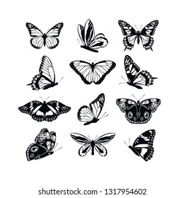 Set butterflies collection spring and summer black silhouettes on white background. Icons different shapes wings, for illustration, ornaments, tattoo, decorative design elements. Vector illustration.