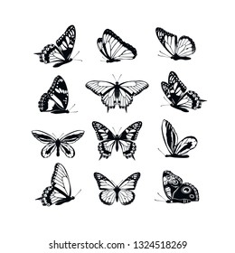 Set butterflies collection spring and summer black silhouettes on white background. Icons different shapes wings, for illustration, ornaments, tattoo, decorative design elements. Vector illustration.