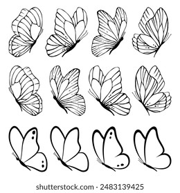 Set of butterflies. Collection of butterflies. Vector illustration. Black and white butterflies clipart set. Baby shower design elements. Party invitation, birthday celebration. Spring, summer decor