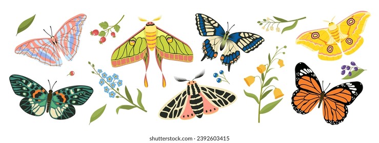 Set of butterflies. Colorful insects with wings near branches. Fauna and wild life. Flora and fauna of spring and summer season. Cartoon flat vector collection isolated on white background