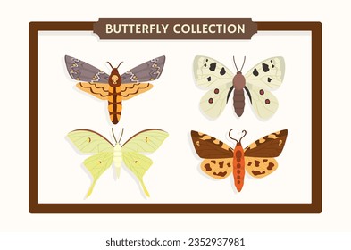 Set of butterflies concept. Pack of insects near glass. Animal wildlife, fauna and biology. Educational materials and infographic. Cartoon flat vector collection isolated on white background