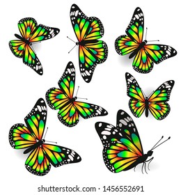 A set of butterflies in different angles of toxic gradient. Design elements. Vector graphics.