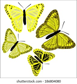 set of butterflies of different colors on a white background 