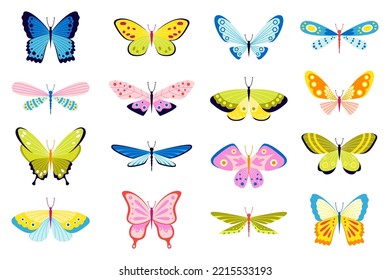Set of butterflies of different colors and shapes isolated on white background. Beautiful flying insects. Cartoon flat vector illustration