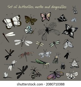 Set of butterflies. Set of dragonflies. Set of moths. Set of insects. Vector ink drawings. Vector bugs. Graphic illustration
