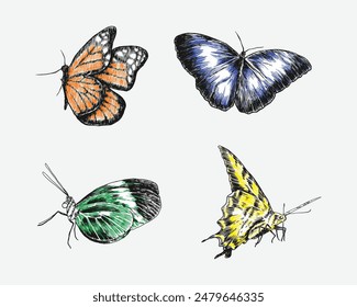 Set of butterflies with engraving drawing style. isolated background. vector illustration.