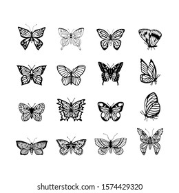 set of butterflies. eps10 vector illustration. hand drawing