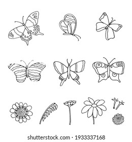 set of butterflies and flowers drawn with feather and ink, isolated on white background, vector illustration, can be used in your projects in banners and posters