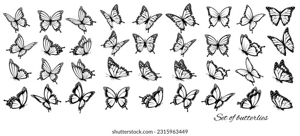 Set of butterflies, flying in different directions. Butterfle silhouette. Vector.