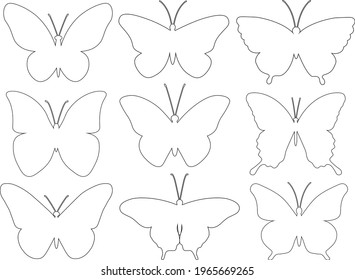 Set butterflies graphics black white coloring vector illustration