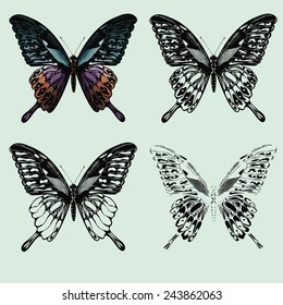 Set of butterflies. hand-drawing. Vector illustration.