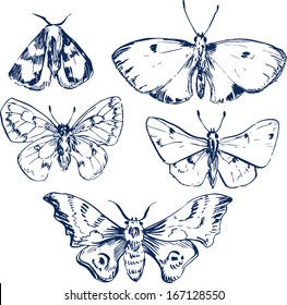 set of butterflies, ink drawing, vector illustration