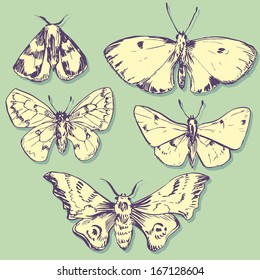 set of butterflies, ink drawing, vector illustration