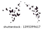 Set of butterflies, ink silhouettes. Glowworms, fireflies and butterflies icons isolated on white background. Hand drawn elements, Vector illustration.