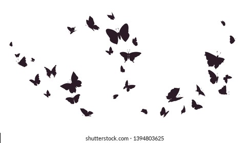 Set of butterflies, ink silhouettes. Glowworms, fireflies and butterflies icons isolated on white background. Hand drawn elements, Vector illustration.