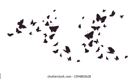 Set of butterflies, ink silhouettes. Glowworms, fireflies and butterflies icons isolated on white background. Hand drawn elements, Vector illustration.