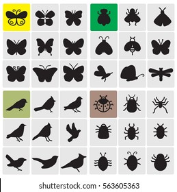 Set of butterflies, insects, birds and bugs icons