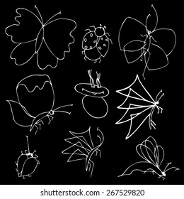 Set of butterflies. Insects. illustration.
