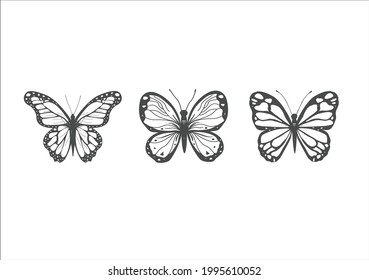 set of butterflies isolated on white background in vector format very easy to edit, individual objects