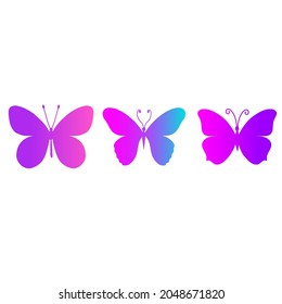 set of butterflies isolated on white background in vector format very easy to edit, individual objects