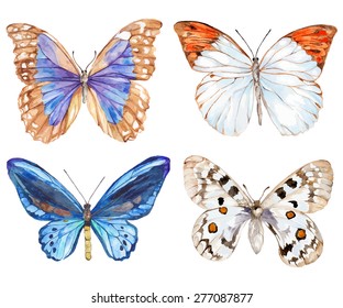 Set of butterflies isolated on white background. Watercolor. Vector illustration