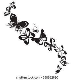 Set of butterflies isolated on white design background